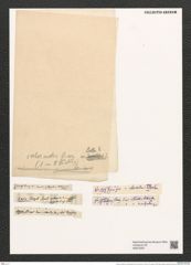Eunotia robusta var. intermedia (Grun.) (de-Toni-Nr.: Genus 104, Species 3185) Zeichnungen Sammlung Grunow (NHMW-BOT-W0375267)